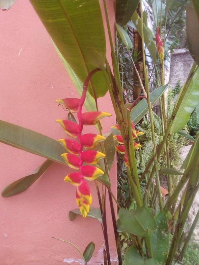 Pousada Portal Das Flores Paraty Eksteriør billede